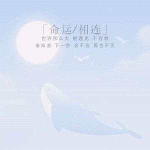 收听迦楼罗的命运相连（粤语）歌词歌曲