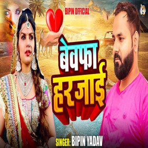 Listen to Bewafa Harjai song with lyrics from Bipin Yadav