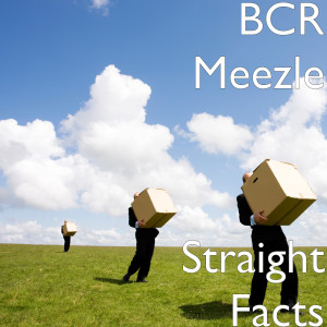Listen to Straight Facts (Explicit) song with lyrics from BCR Meezle