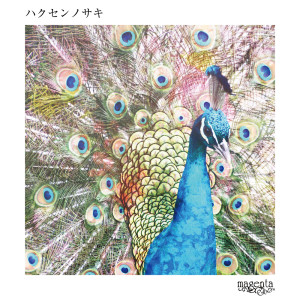Album hakusennosaki from MADAME3MPRESS