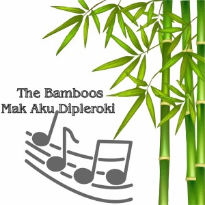 Album Mak Aku Dipleroki from 