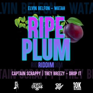 Captain Scrappy的專輯Drop It (feat. Trey Breezy)