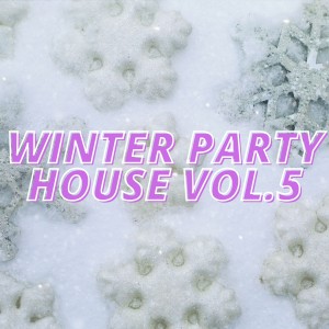 Album Winter Party House Vol.5 from Various