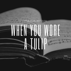 收听Four Knights的I´m Falling For You歌词歌曲