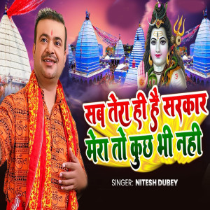 Album Sab Tera Hi Hai Sarkar Mera To Kuch Bhi Nahi from 