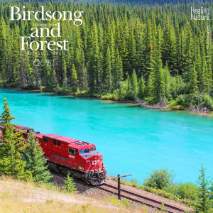 ดาวน์โหลดและฟังเพลง Birds from Amazing Nature 4 พร้อมเนื้อเพลงจาก 힐링 네이쳐 Nature Sound Band