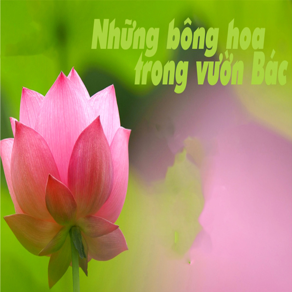 Trông cây lại nhớ đến Người