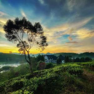 Listen to Cinta Tasikmalaya-asahan song with lyrics from Yolanda Zee