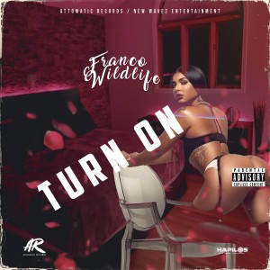 ดาวน์โหลดและฟังเพลง Turn On (Explicit) พร้อมเนื้อเพลงจาก Franco Wildlife