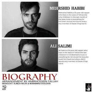 Album Biogeraphy (feat. Ali Salimi) from Mehrshid Habibi