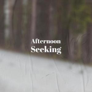 Listen to Afternoon Seeking song with lyrics from Luan Vasy