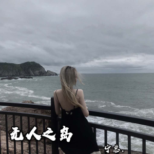 Dengarkan lagu 天下 (女生DJ版) nyanyian 宁总 dengan lirik
