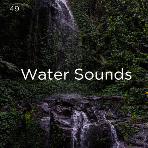 ดาวน์โหลดและฟังเพลง Peaceful Bird Song พร้อมเนื้อเพลงจาก Yoga