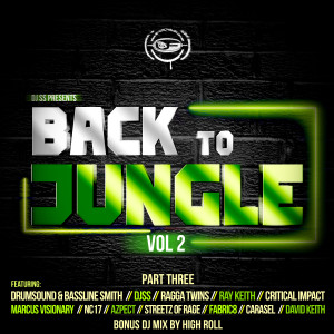 Various Artists的專輯Back to Jungle, Vol. 2 (Pt. 3)