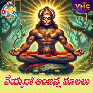 Album Veyyaro Anjanna Malalu from Shankar Babu