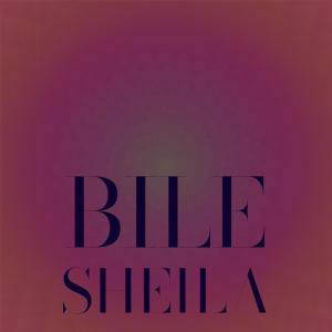 อัลบัม Bile Sheila ศิลปิน Various