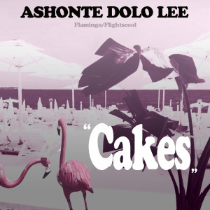 Album Cakes from Ashonte Dolo Lee