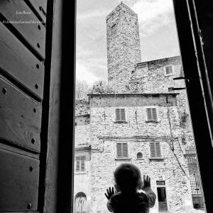 收聽Luis Berra的At home and around the world歌詞歌曲