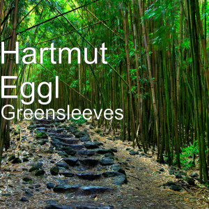 ดาวน์โหลดและฟังเพลง Greensleeves พร้อมเนื้อเพลงจาก Hartmut Eggl