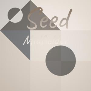 อัลบัม Seed Midfielder ศิลปิน Various