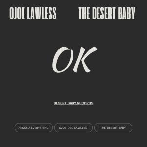 The Desert Baby的專輯Ok (feat. The Desert Baby) [Explicit]