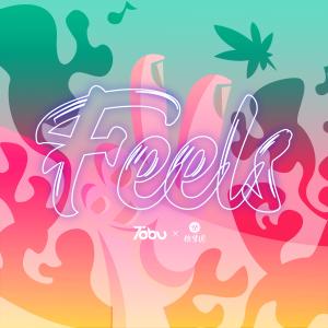 ดาวน์โหลดและฟังเพลง Feels พร้อมเนื้อเพลงจาก 徐梦圆