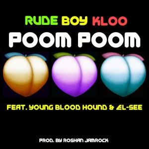 Listen to Poom Poom (Explicit) song with lyrics from RUDE BOY KLOO