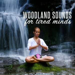 ดาวน์โหลดและฟังเพลง In the Stream พร้อมเนื้อเพลงจาก Nature Sounds Sleep