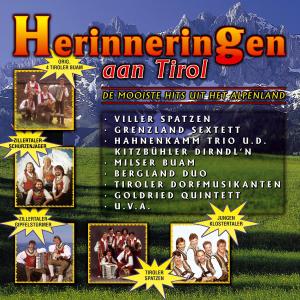 Listen to Tommi-Polka song with lyrics from Jungen Klostertaler