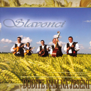 收聽Tamburaški Sastav Slavonci的Cigani Tiho Svirajte歌詞歌曲