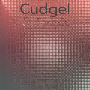 收聽Raed Pasi的Recommended Beachy歌詞歌曲