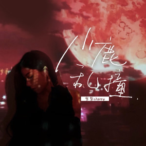 Listen to 小鹿乱撞 song with lyrics from 雪梨sherry