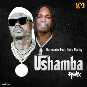 Ushamba (Remix) dari Harmonize