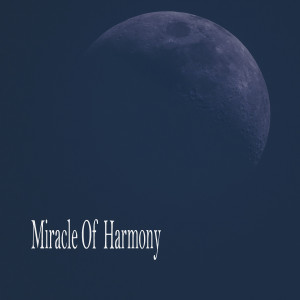 Sleeping Music的專輯Miracle Of Harmony