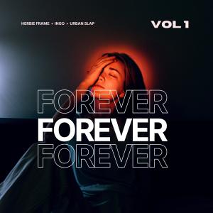 Album Forever from Herbie Frame