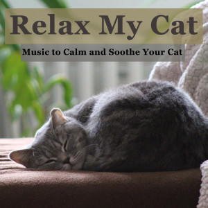 收聽Cat Music Dreams的Lazy Sunday歌詞歌曲