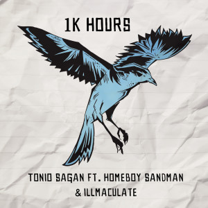 Listen to 1k Hours (Deejay Theory Remix) (Explicit) (Deejay Theory Remix|Explicit) song with lyrics from Tonio Sagan