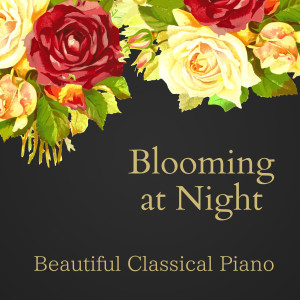 Listen to Nimble Fingers song with lyrics from Relaxing BGM Project