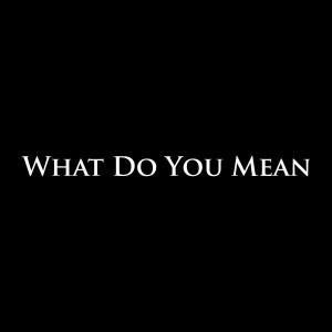 Album What Do You Mean oleh Collin McLoughlin