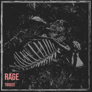 Album Rage (Explicit) from TBooze