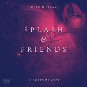 收聽Dolphin Splash的Ride the Wave (feat. Oso Filthy & AKATraccs) (Explicit)歌詞歌曲