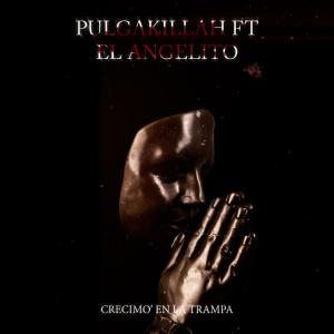 Listen to Crecimo' en la trampa song with lyrics from PulgaKillah