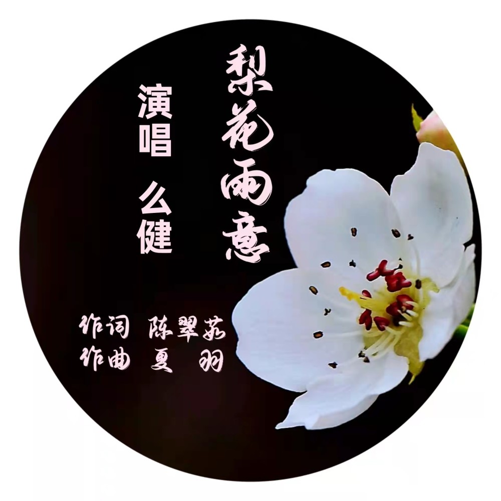 梨花雨意 (完整版)