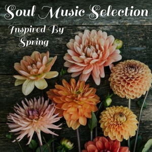 Listen to Soothe Me song with lyrics from Sam
