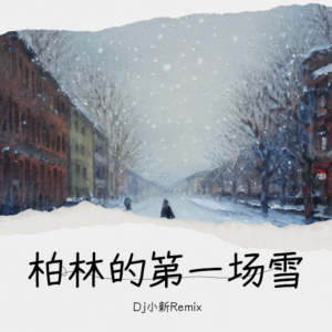 Listen to 柏林的第一场雪(旋律版) (完整版) song with lyrics from DJ小新