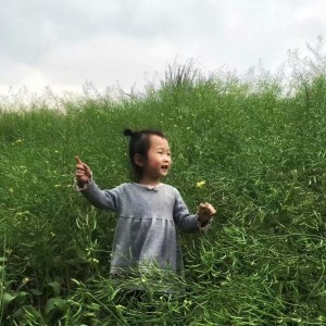 小羽毛 ดาวน์โหลดและฟังเพลงฮิตจาก 小羽毛