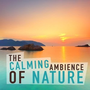 The Calming Sounds of Nature的專輯The Calming Ambience of Nature