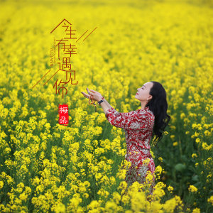 Listen to 今生有幸遇见你 (伴奏) song with lyrics from 梅朵