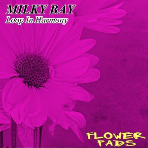 Dengarkan lagu Loop in Harmony (Nu Ground Foundation Soul Mix) nyanyian Milky Bay dengan lirik