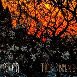 收聽3760的This Spring歌詞歌曲